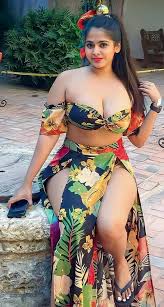 Real Genuine Escort service in Netaji Nagar < 9667739503