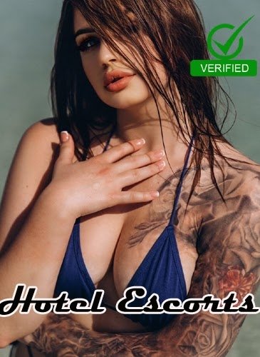 Noida 💵Call 😘girl in (Sector 97) Noida ☎ 08448380779 call #girl service