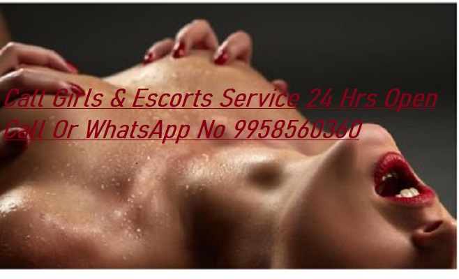 (Call Girls) In Lajpat Nagar (Delhi) +91-9958560360, Cute Female Escorts Service