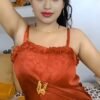 Call Girls in Delhi Cantt ❣≛9711014705≛❣ EscorTs Service