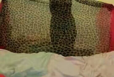 Young Escorts ""5 Star Hotel""/+91-84190-22958- Call Girls Near The Leela Ambience Gurugram