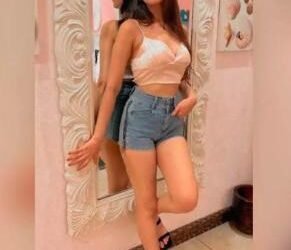 Call Girls in Sector 162 Noida Escorts Service 9220910337