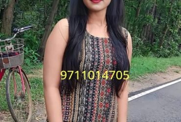 Call Girls In Delhi INA Colony ➙ⴵ9711014705ⴵ-(Delhi)