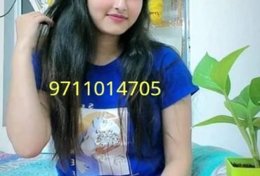 Call Girls In Delhi Maharani Bagh ➙ⴵ9711014705ⴵ-(Delhi)