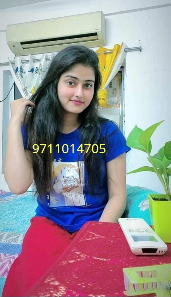 Call Girls In Delhi Malviya Nagar ➙ⴵ9711014705ⴵ-(Delhi)