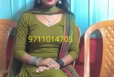 Call Girls In Anand Lok ⇆ 9711014705 ⇆ Escorts Service Delhi