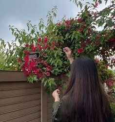 Call Girls in Mandi House Delhi call me [9811255547 ] escort service 24X7