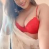 Ajmeri Gate, Delhi 8375000188 Call Girls Escorts Services NCR