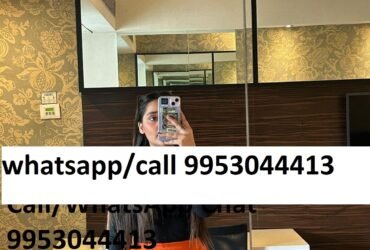Book Call Girls in Karampura Delhi | 9953044413