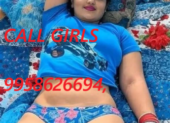 | +91⧼9958╰62╯6694⧽| Low Rate Call Girls In Alpha 2, Noida Delhi NCR