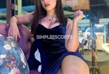 Call Girls In Sector 15 Noida 9911401116 ❤꧂Female Escorts ServiCe Delhi NCR