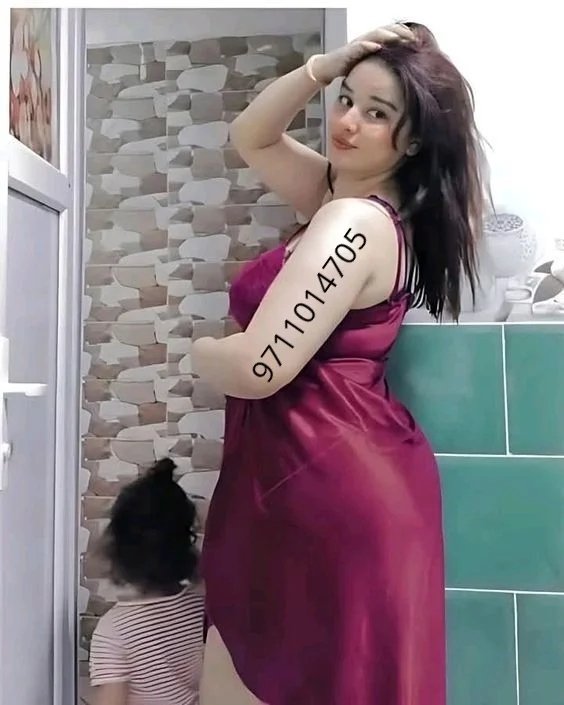 𝒟𝐸𝐿𝐻𝐼￣Call Girls in INA Colony ′9711014705′ Escort/ Service In Delhi Ncr