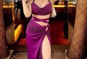 Rꦿyal Noida Sector-97 Call Girls Escorts Service Late-Night Book Now ➈➈➈⓪②②⑥⑥⑤➇